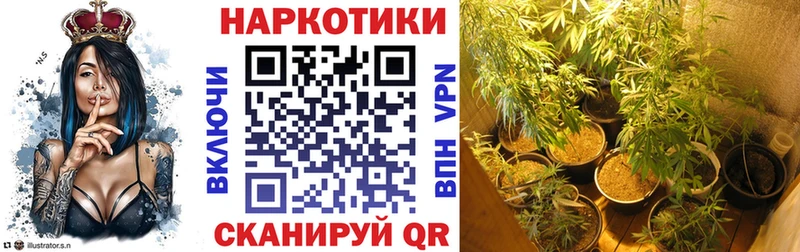 Купить наркотики Нижняя Салда Бошки Шишки  Кокаин  Alpha-PVP  OMG маркетплейс  Мефедрон 
