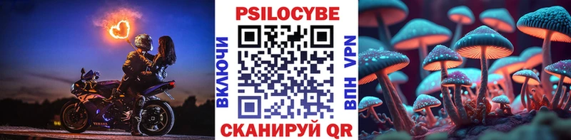 darknet какой сайт  Нижняя Салда  Галлюциногенные грибы мицелий  гидра tor 